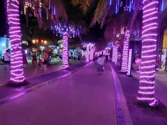 -南海渔家•海鲜•正宗海南菜(海棠湾店)