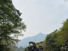 -屯门公园