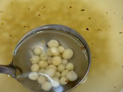 -蟹天蟹地农家菜·阳澄湖大闸蟹(浅水湾店)