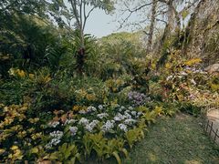 -中国科学院西双版纳热带植物园