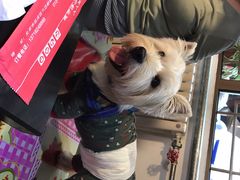 -缘福乡村铁锅炖民宿(八达岭店)