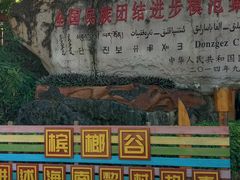 -海南槟榔谷黎苗文化旅游区