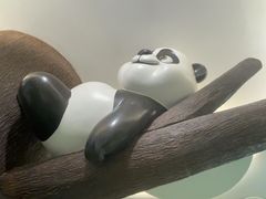 -眉州东坡·熊猫主题餐厅(枫蓝店)
