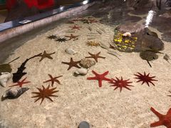 -福州罗源湾海洋世界旅游区