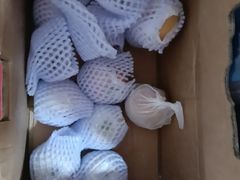 -海吉星国际农产品物流管理有限公司