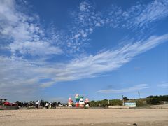 -长江澳风力发电景观区