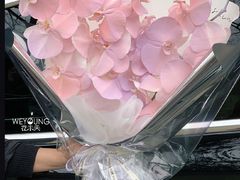 -花未央花店·WEYOUNG
