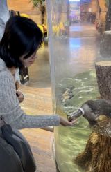 -Zoolung Zoolung动物主题公园(海信广场店)