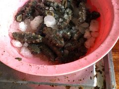 -大连熟食品交易中心