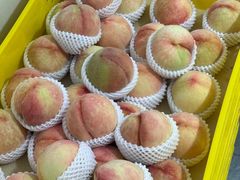 -老袁家蜜桃农场·阳山水蜜桃