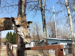 -大连森林动物园