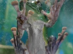 -上海大自然野生昆虫馆(东方明珠·爬宠昆虫探索中心)
