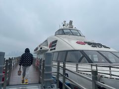 -金鸡湖桃花岛