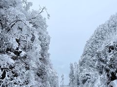 -峨眉山风景名胜区