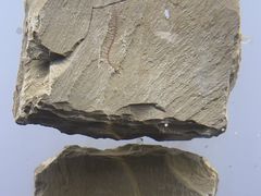 -湖南省地质博物馆