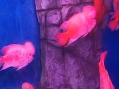 -泉州海丝野生动物世界