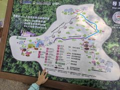 -野象谷景区