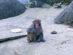 -大围山国家森林公园