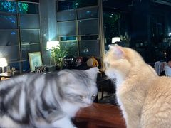 -咖法森林·咖啡  酒吧(天河店)