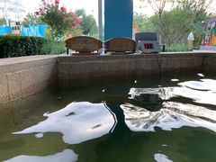 -南宫温泉水世界