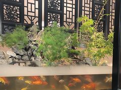 -舟小鲜·舟山小渔村(凤城四路中登广场店)