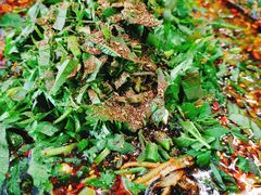 -乐山第一家临江鳝丝(茶坊路店)