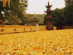-龙寺生态园