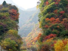 -少华山国家森林公园