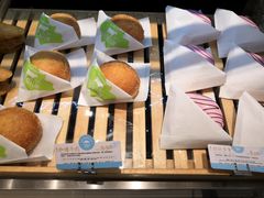 -蒲公英(五里店)