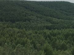 -塞罕坝国家级自然保护区