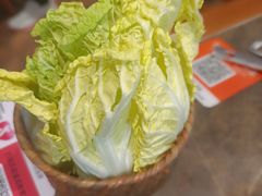 -铁真·刨冰红焖羊肉·正宗老字号