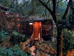 -天门沟九州驿站树上汤泉
