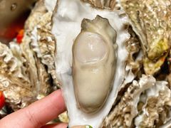 -蚝翅·海鲜粥·烧烤·宁夏滩羊季(玉米楼店)