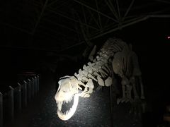 -世界恐龙谷景区