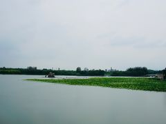 -大兴滨河森林公园