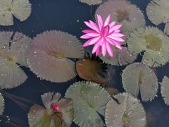 -白沙门生态公园