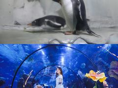 -南昌海洋公园