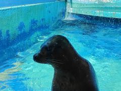 -太平洋海底世界