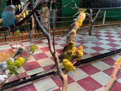 -上海昆虫博物馆