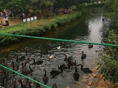 -长白岛森林公园