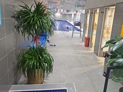 -小蓝鲸游泳培训基地(积水潭店)