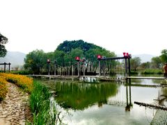 -长兴太湖图影湿地文化园