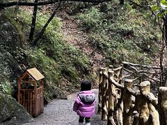 -洛阳白云山景区