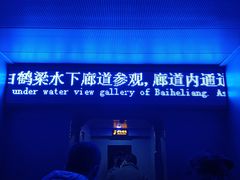 -白鹤梁水下博物馆