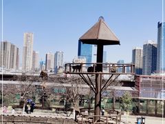 -昆明动物园