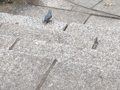 -汤旺河林海奇石景区