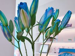 -华润置地大厦E座