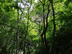 -十渡东湖港风景区