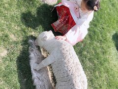 -鲁土司衙门旧址