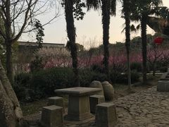 -雨花胜境